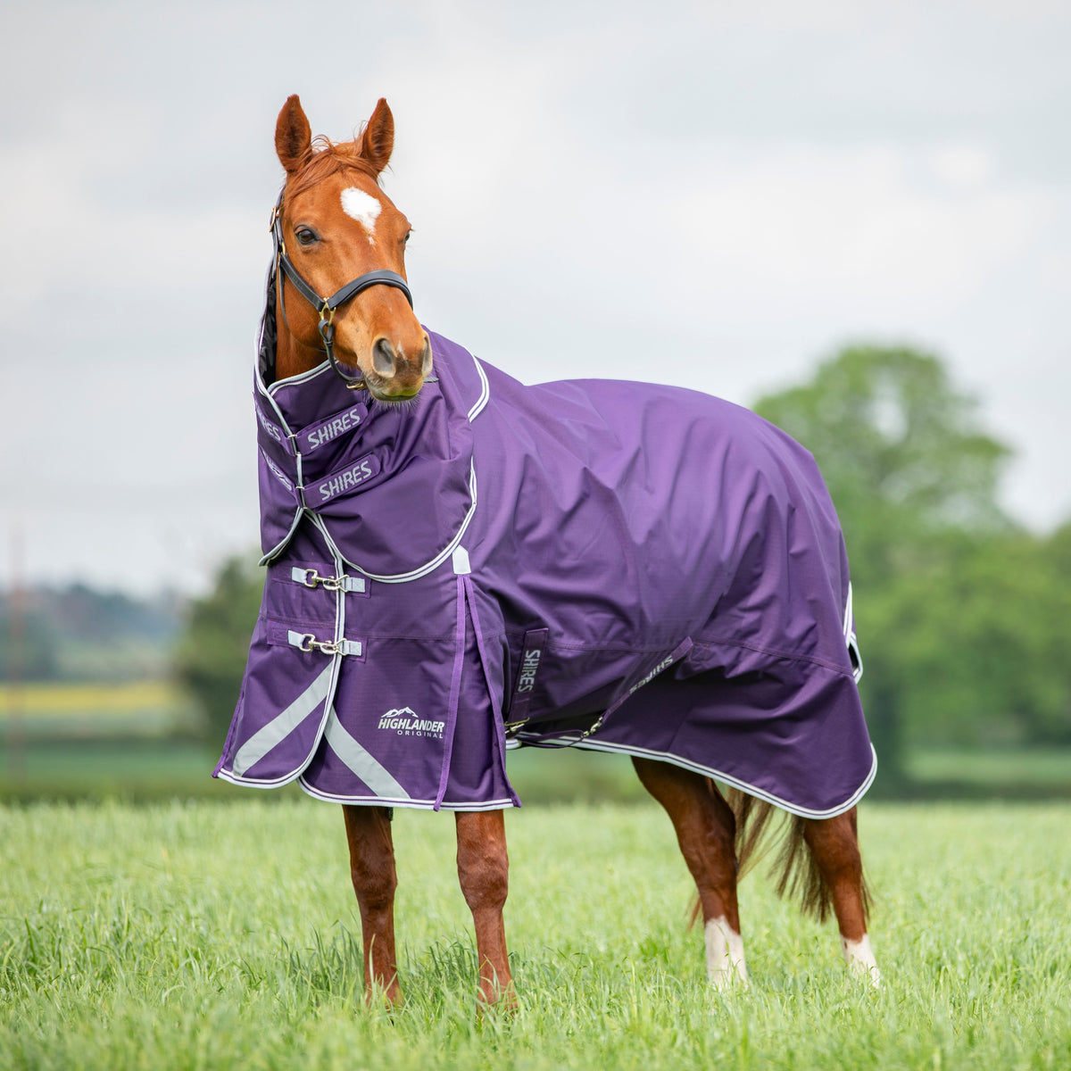 Shires Highlander Original 100g Turnout Neck Cover