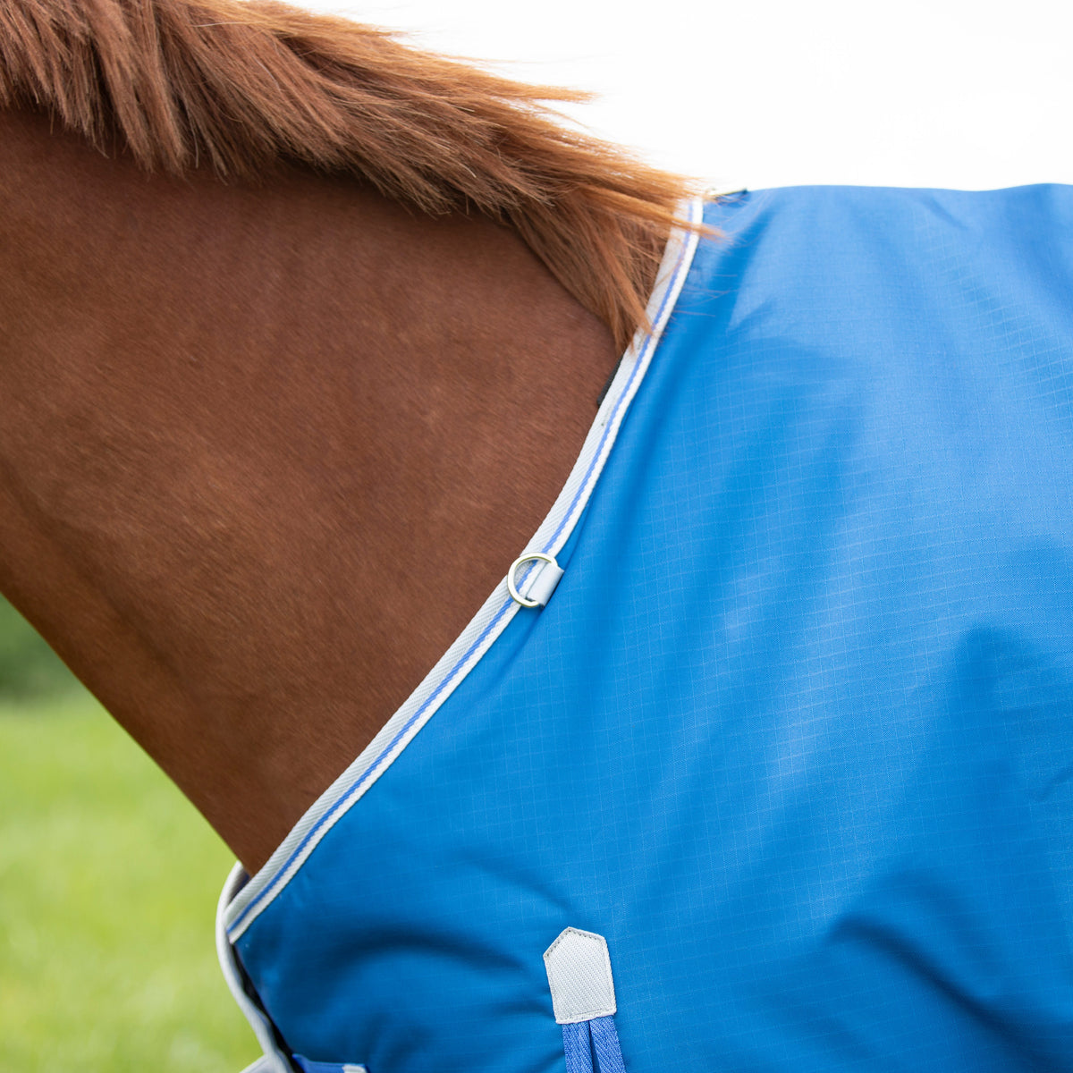 Shires Highlander Original 200g Turnout Rug