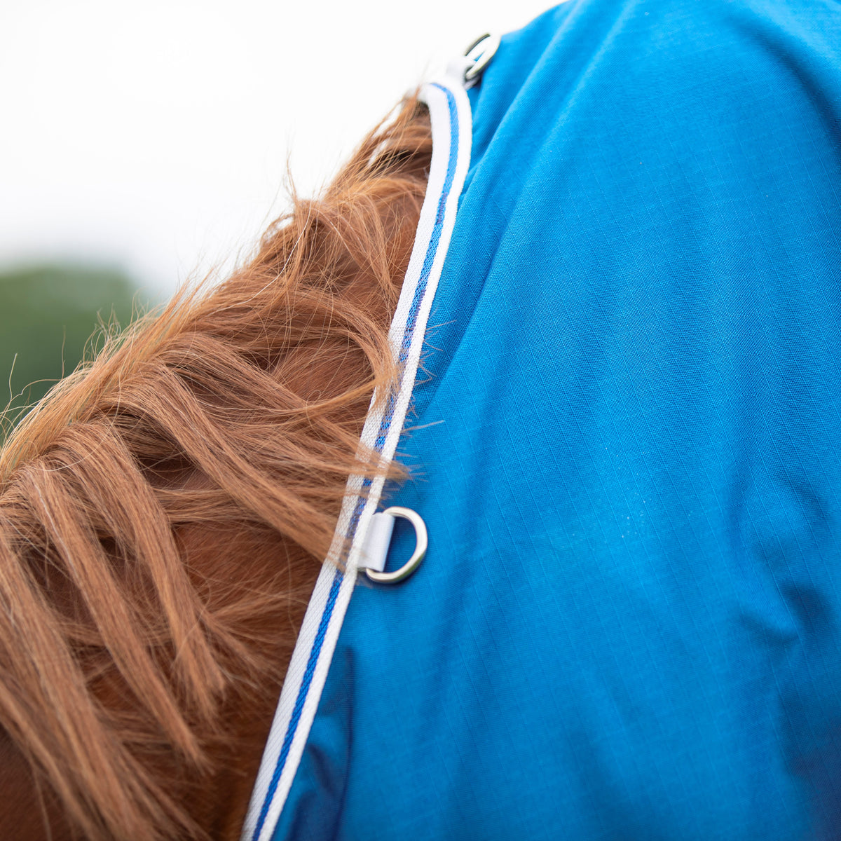 Shires Highlander Original 200g Turnout Rug