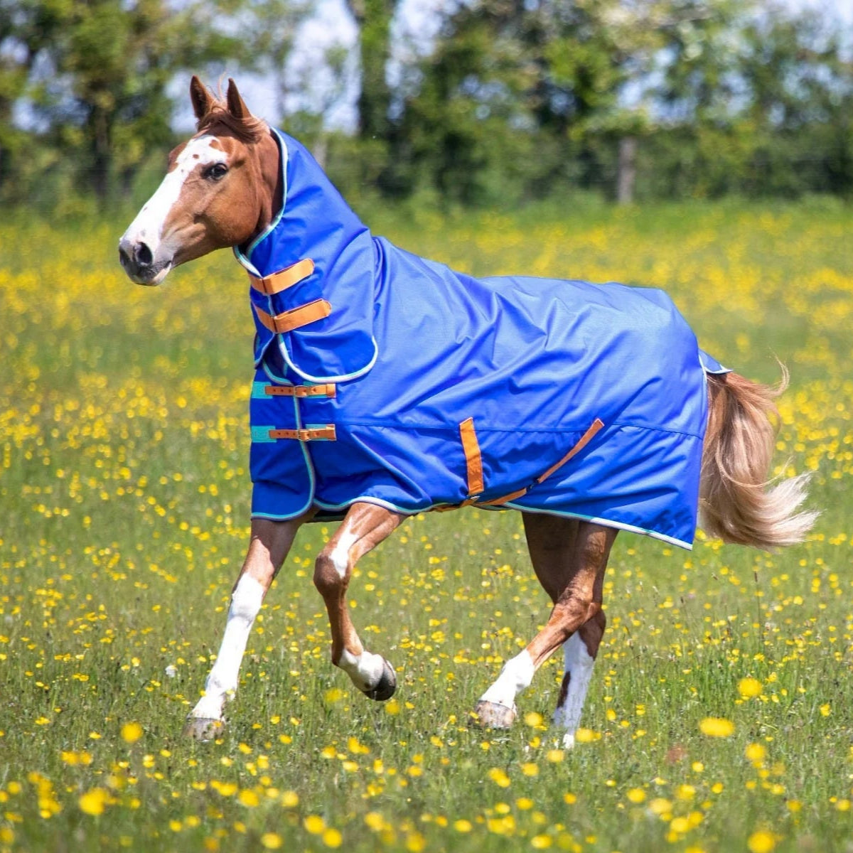 Shires Tempest Original 50g Combo Turnout Rug