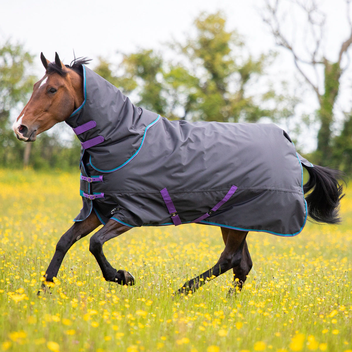 Shires Tempest Original 300g Weidedecke mit abnehmbarem Hals