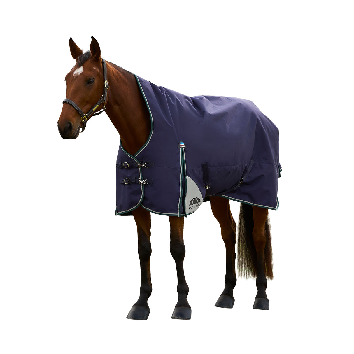 Weatherbeeta Comfitec Plus Dynamic Turnout High Neck 0g
