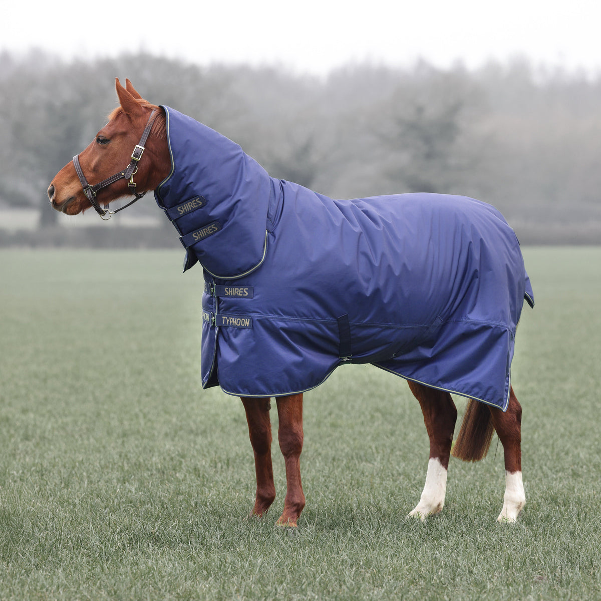 Shires Typhoon Lite Combo Turnout Rug 0g