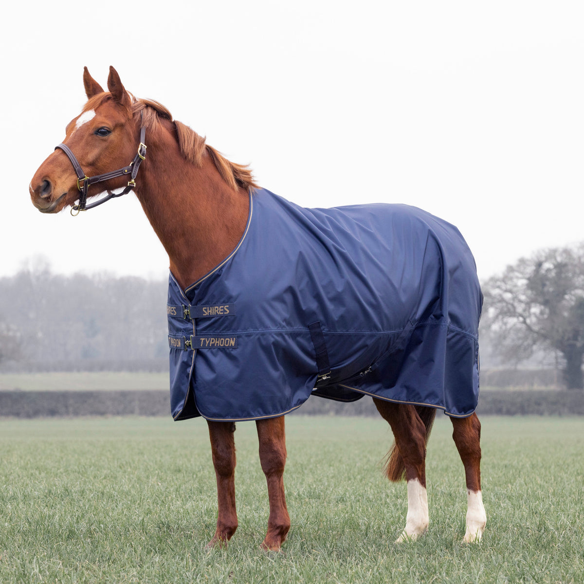 Shires Typhoon Lite Turnout Rug 0g
