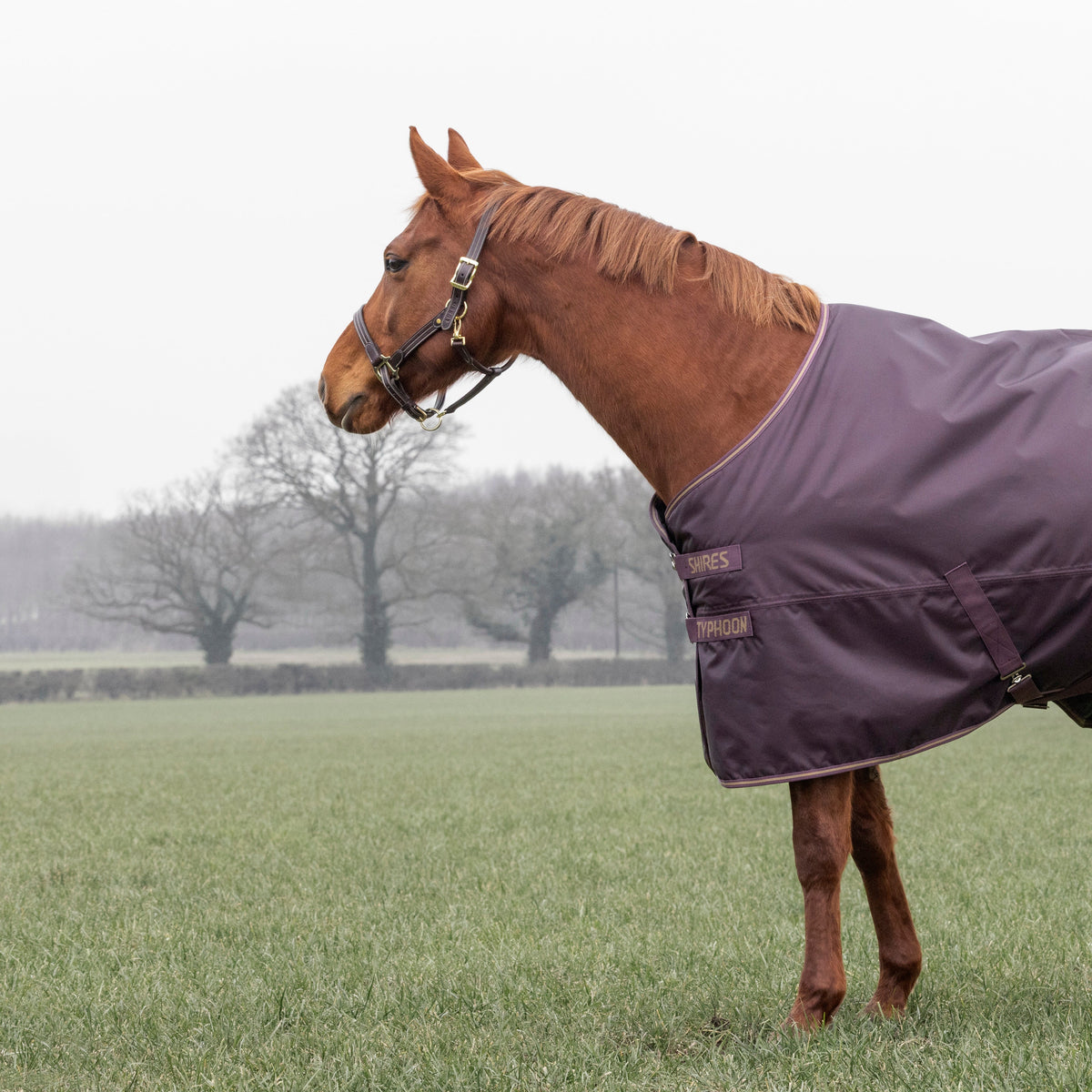 Shires Typhoon 100g Turnout Rug