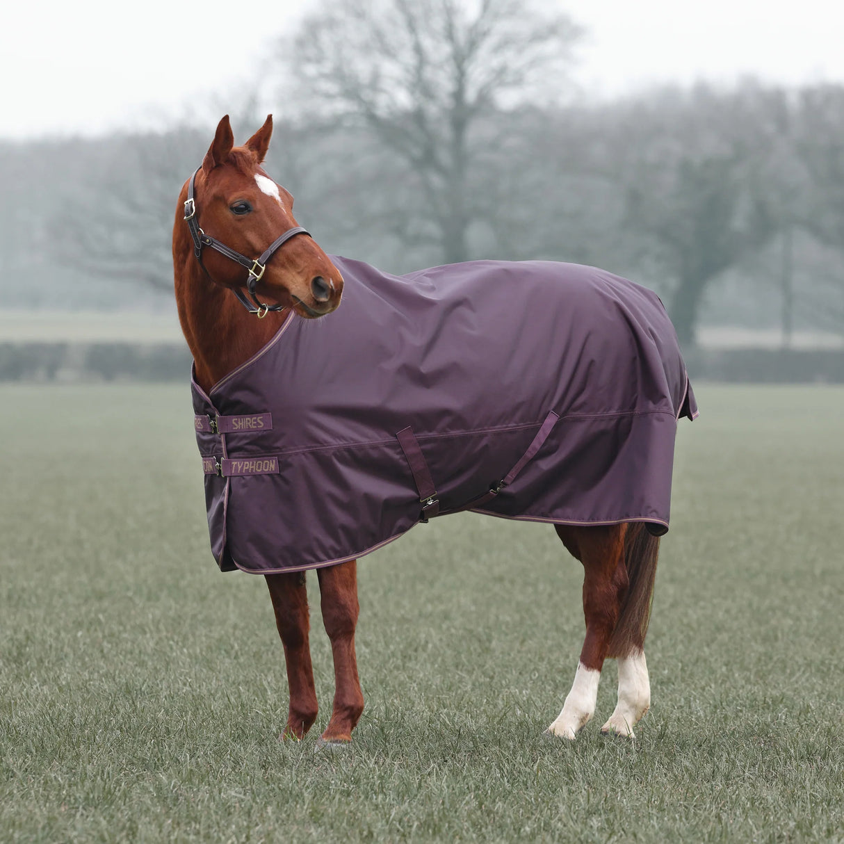 Shires Typhoon 100g Turnout Rug #colour_black-cherry