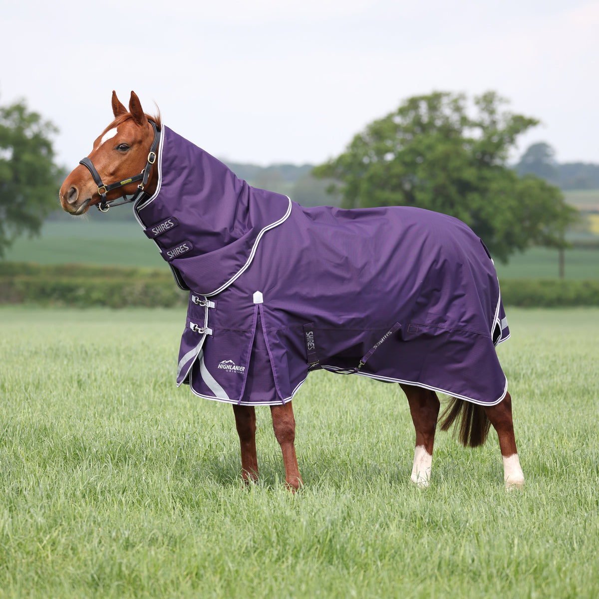Shires Highlander Original 100g Turnout Rug & Neck