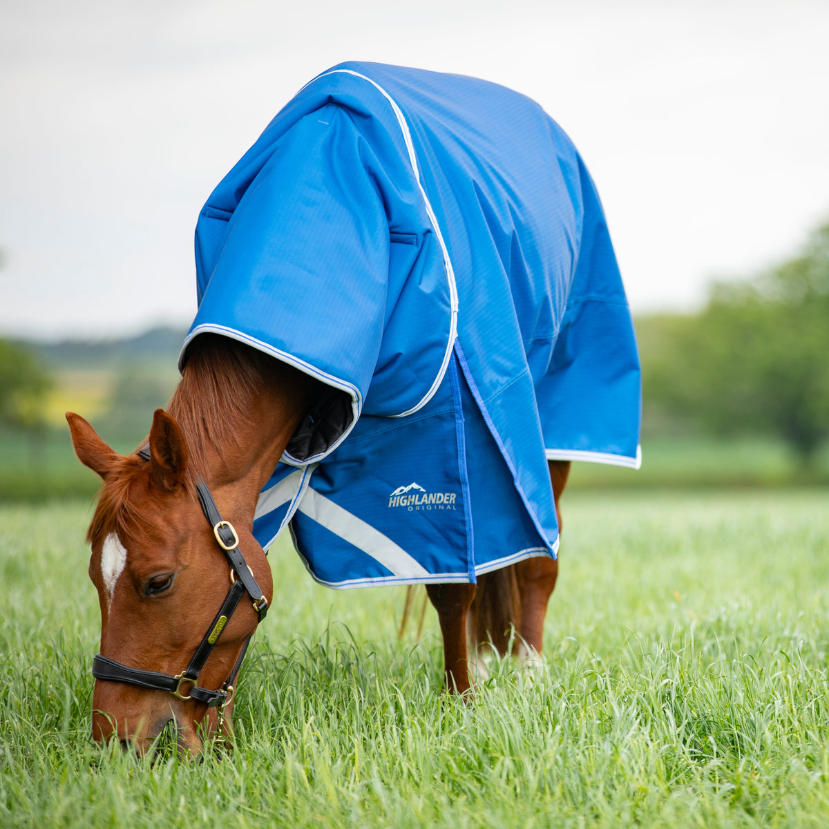 Couverture et cou Shires Highlander Original 200 g 