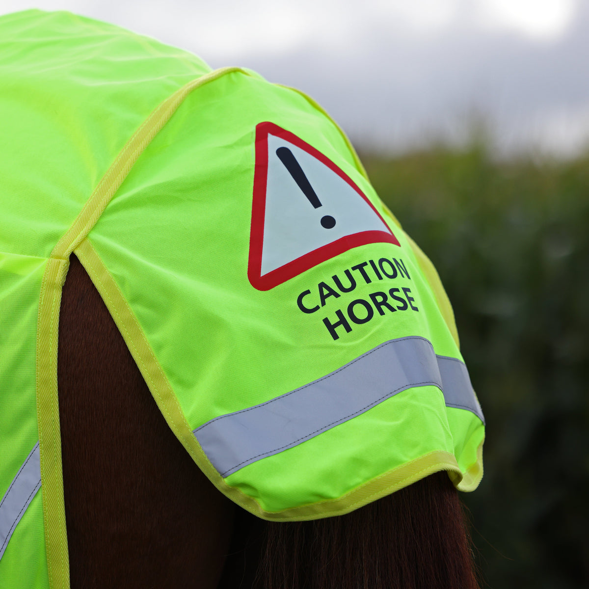 Feuille d'exercice en maille Shires EQUI-FLECTOR