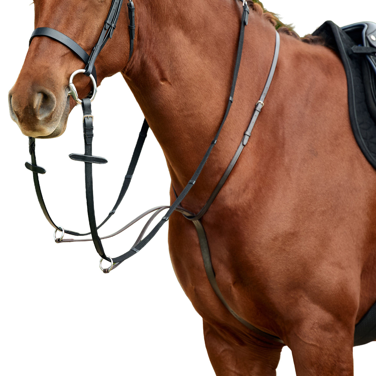 Dublin Running Leather Martingale for Horses
