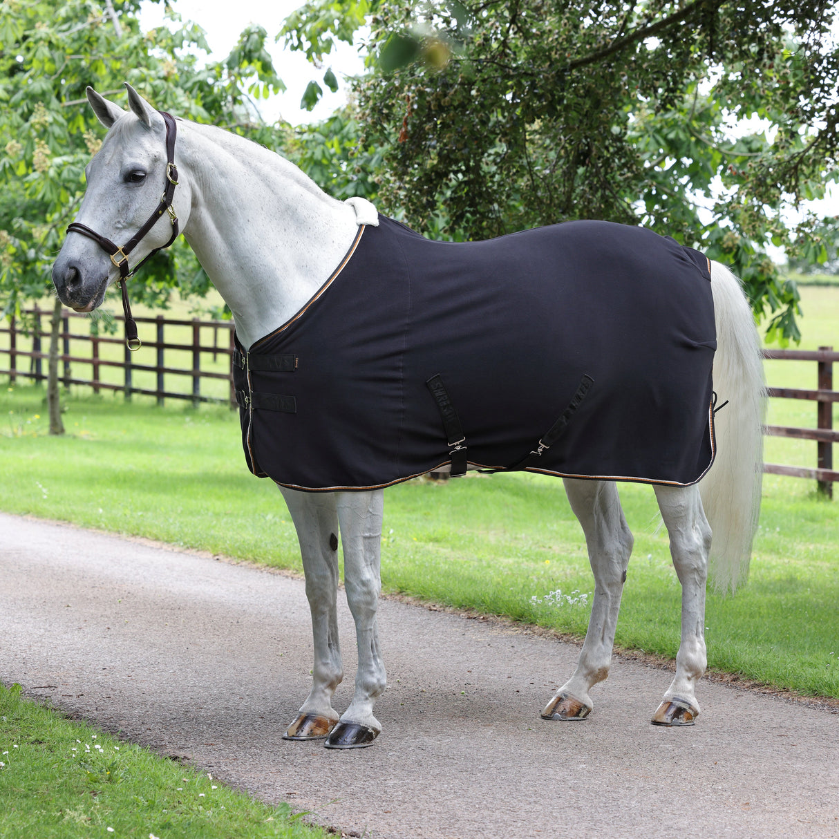 Tapis polaire Shires Tempest Original