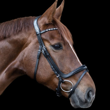 Waldhausen X-Line Bridle Freedom #colour_black