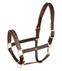 Waldhausen X-Line Leather Halter Crystal #colour_brown-gold