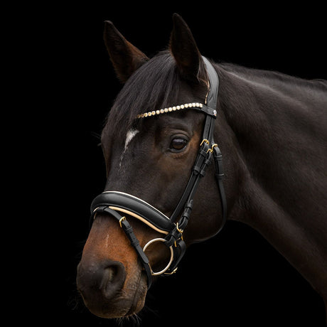 Waldhausen X-Line Ivory Bridle #colour_black