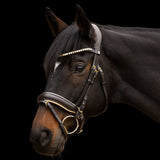Waldhausen X-Line Ivory Bridle #colour_brown