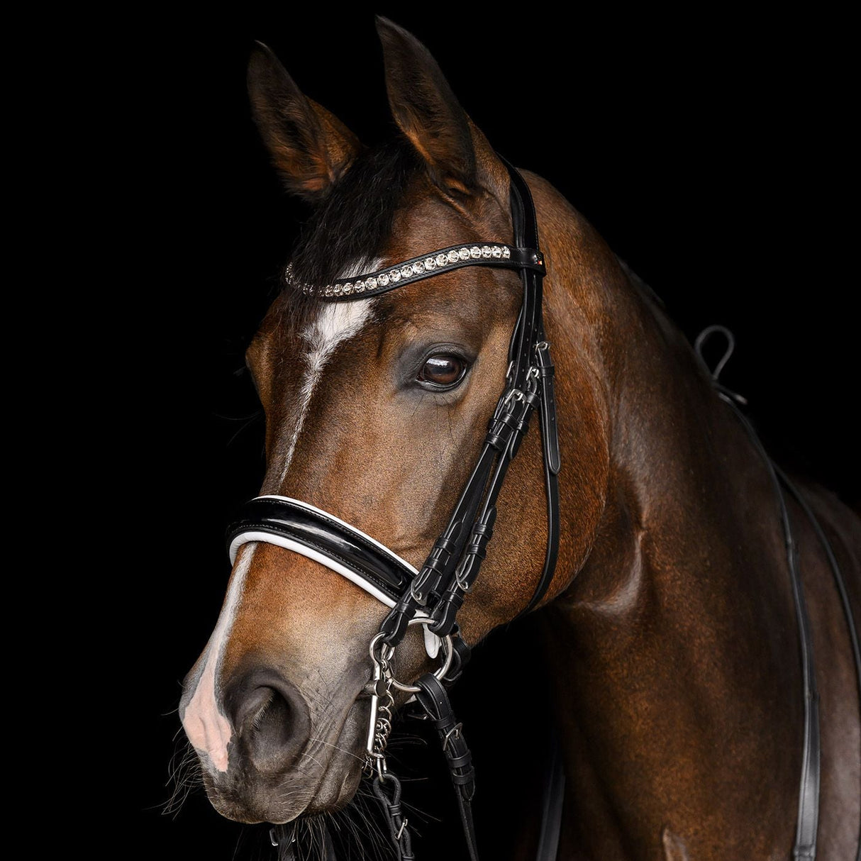 Waldhausen Evermore Weymouth Bridle