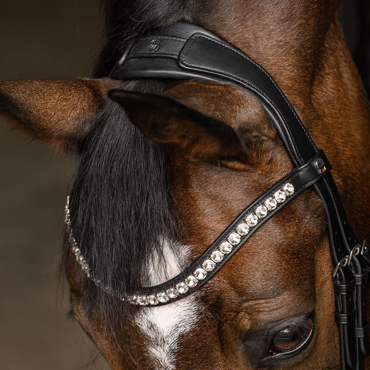 Waldhausen Evermore Weymouth Bridle