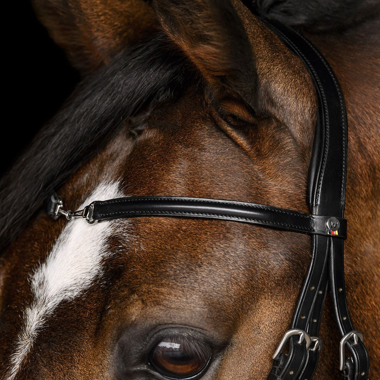 Waldhausen Charmbit X-Line Bridle #colour_black