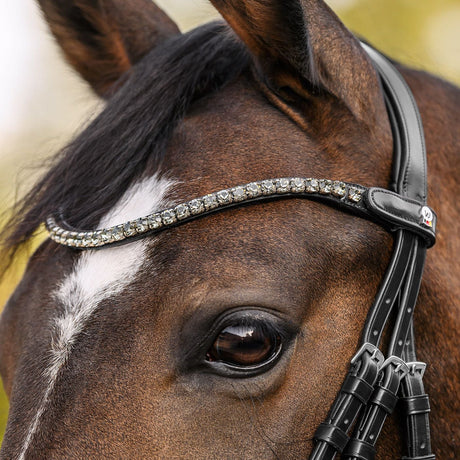 Waldhausen X-Line Shine Browband #colour_silver