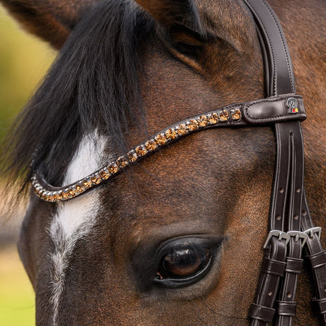 Waldhausen X-Line Shine Browband #colour_brown