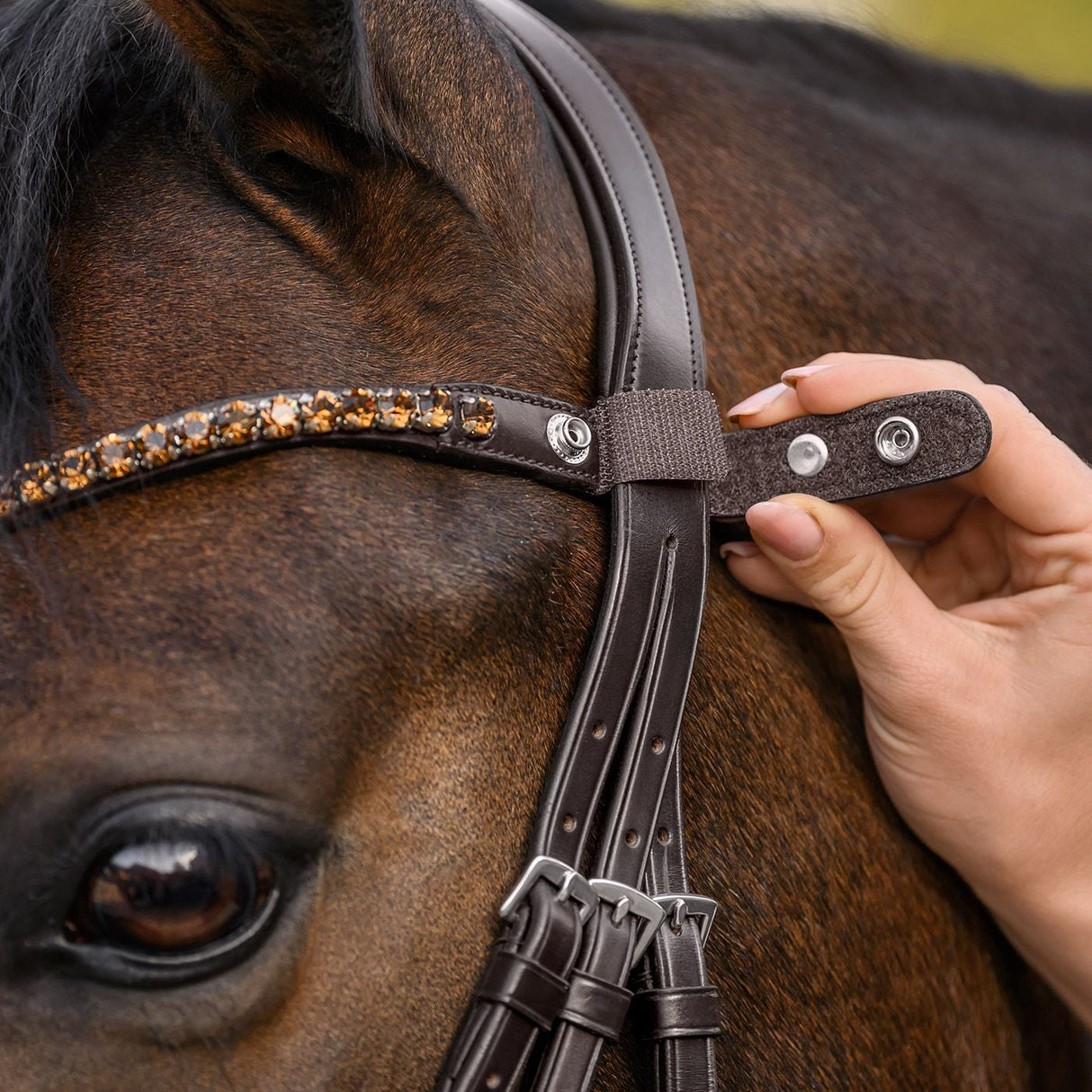 Waldhausen X-Line Shine Browband #colour_brown