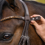 Waldhausen X-Line Shine Browband #colour_brown