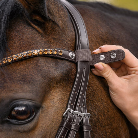 Waldhausen X-Line Shine Browband #colour_brown