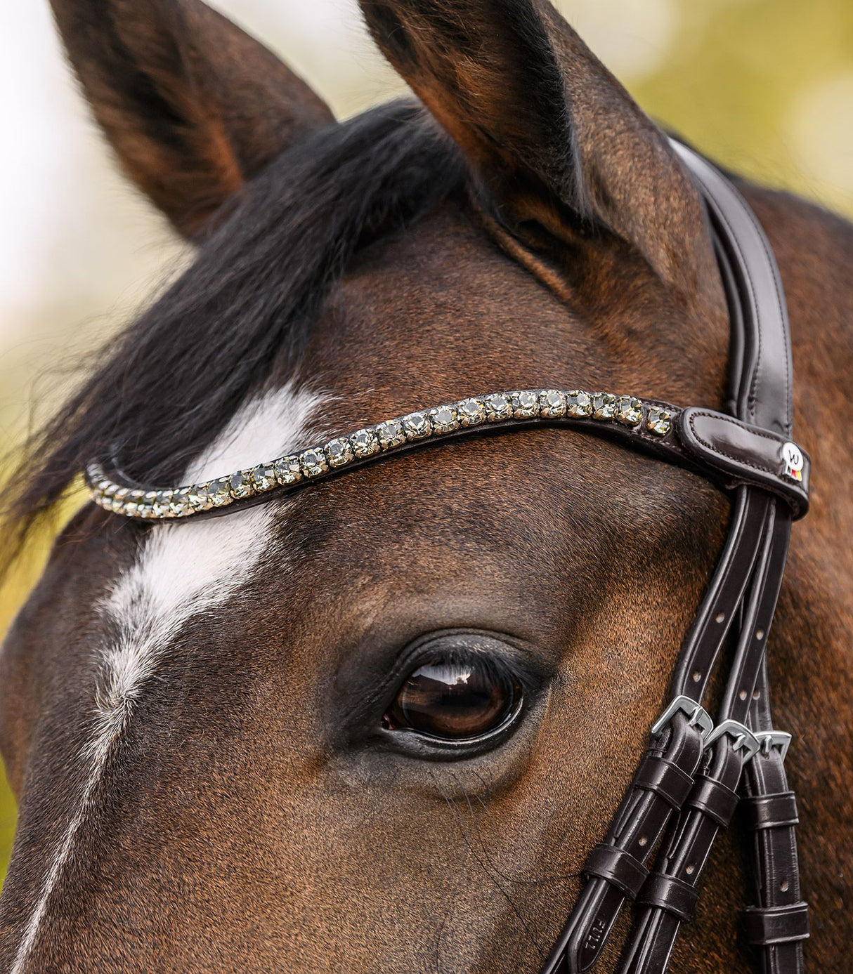 Waldhausen X-Line Shine Browband #colour_beige