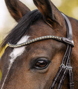 Waldhausen X-Line Shine Browband #colour_beige