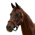 Dublin Leather Rope Headcollar with Nickel Buckles