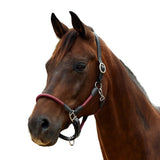 Dublin Leather Rope Headcollar with Nickel Buckles