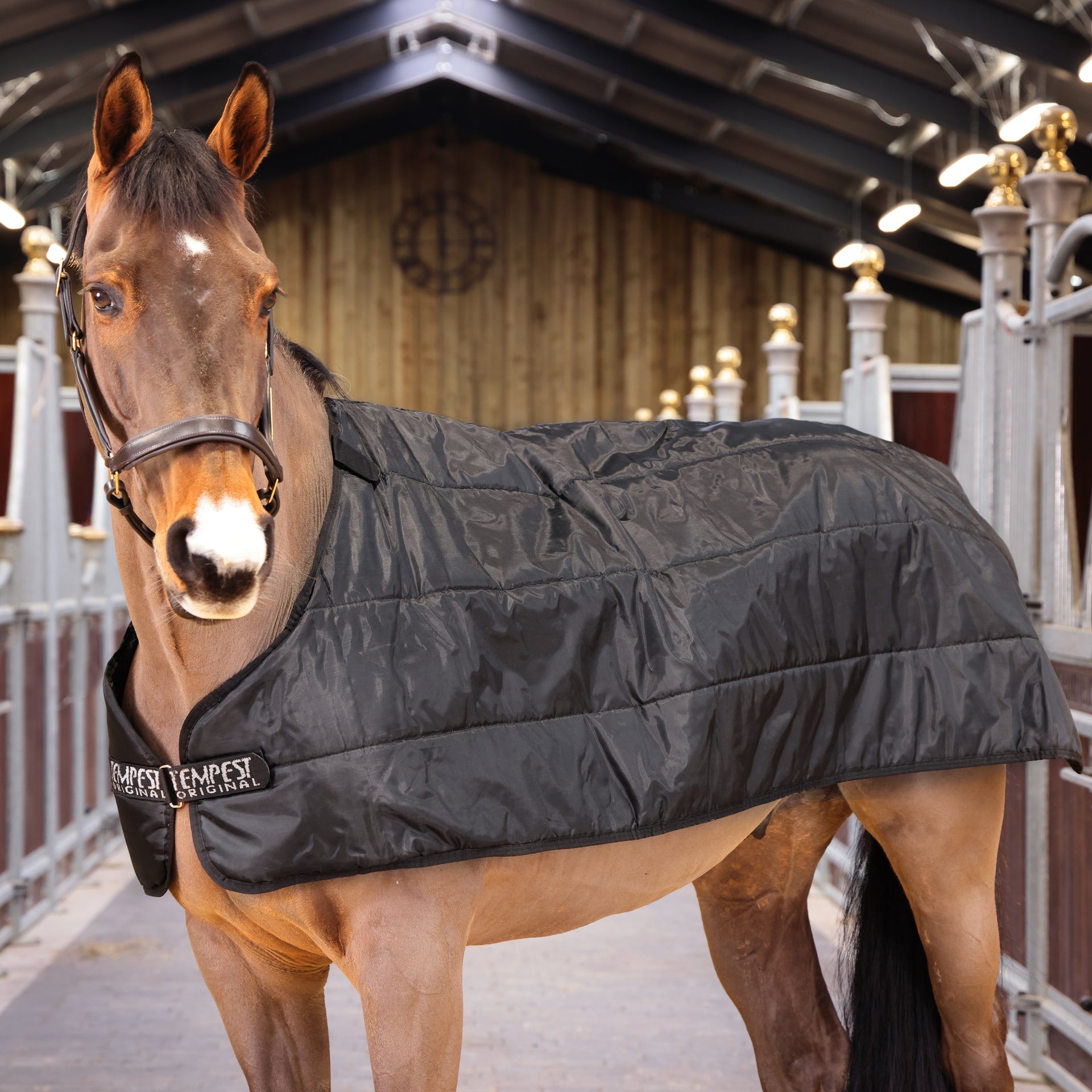 WarmaRug Turnout Liner