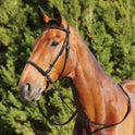 Dublin Bitless Leather Side Pull Bridle for Horses