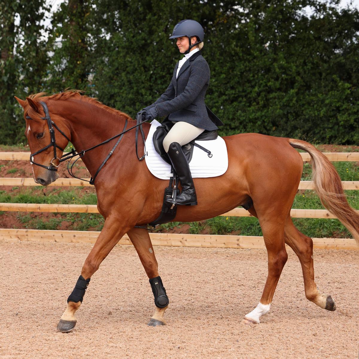 Shires Aubrion Saratoga Damenjacke