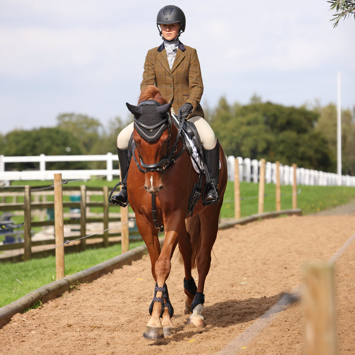 Shires Aubrion Saratoga Damenjacke