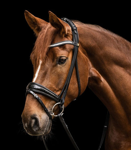 Waldhausen S-Line Bridle Magic #colour_black