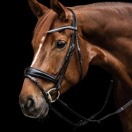 Waldhausen S-Line Essential Bridle #colour_black