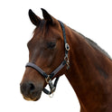 Dublin Braided Leather Padded Horse Headcollar