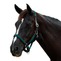 Dublin Braided Leather Padded Horse Headcollar