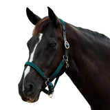 Dublin Braided Leather Padded Horse Headcollar