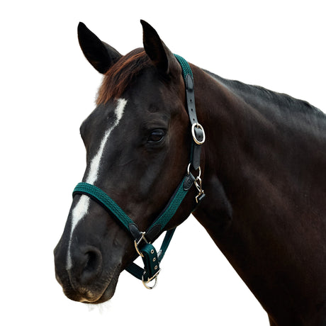 Dublin Braided Leather Padded Horse Headcollar