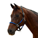 Dublin Leather Rope Headcollar with Nickel Buckles