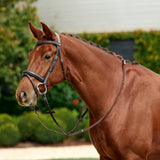 Dublin Padded Mono Crown Flash Leather Bridle for Horses