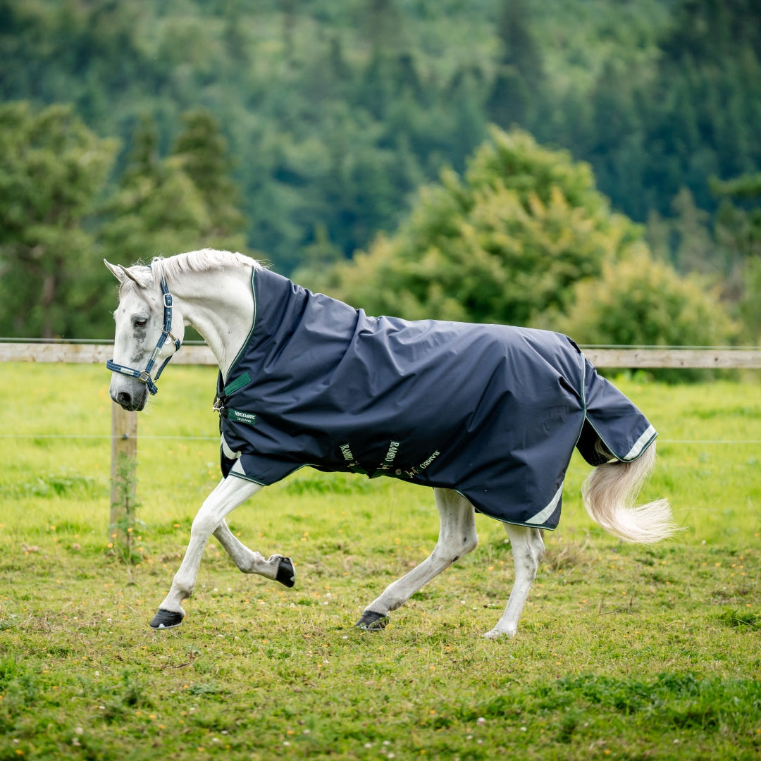 Horseware Ireland Rambo 1680D 200g Wug Turnout Rug #colour_navy-hunter-green-silver