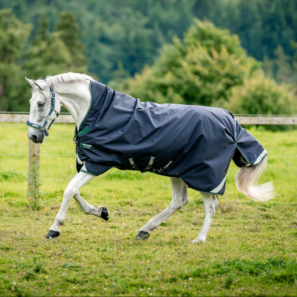 Horseware Ireland Rambo 1680D 0g Wug Turnout Rug #colour_navy-hunter-green-silver