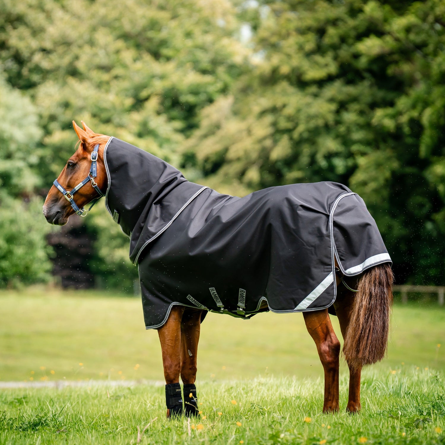 Horseware Ireland Rambo Supreme 1680D Turnout Plus 50g #colour_black-thunderstorm-grey-silver