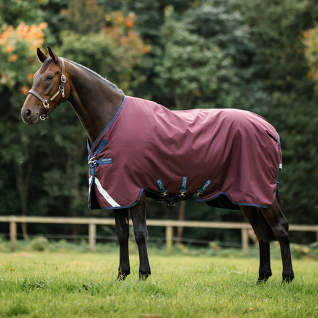 Horseware Ireland Amigo 1200D 250g Turnout Rug