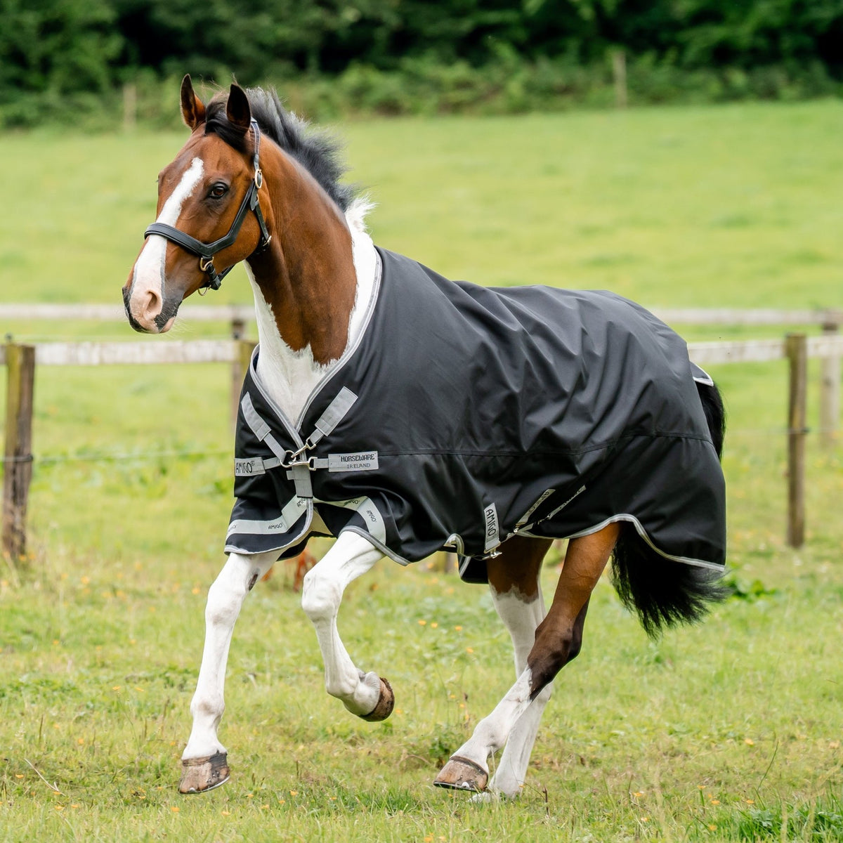 Amigo Bravo 12 Lite Turnout Rug