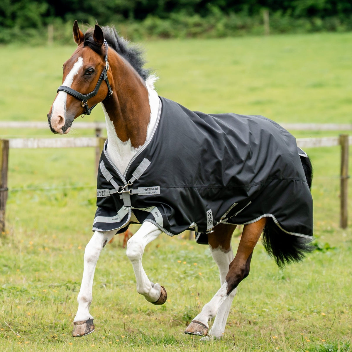 Amigo Bravo 12 Medium Turnout Rug