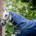 Horseware Ireland Amigo Ripstop 900D Turnout Hood 150g #colour_navy-titanium-grey